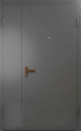 Фото двери «Техническая дверь №6 полуторная» в Москве